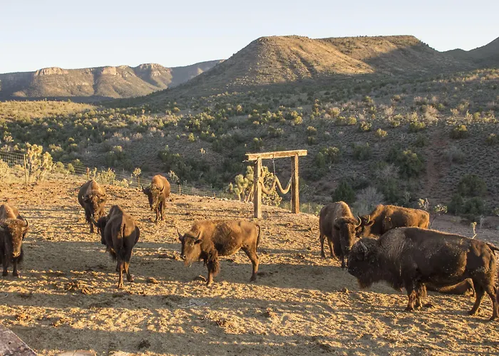 Farm stay Grand Canyon Western Ranch