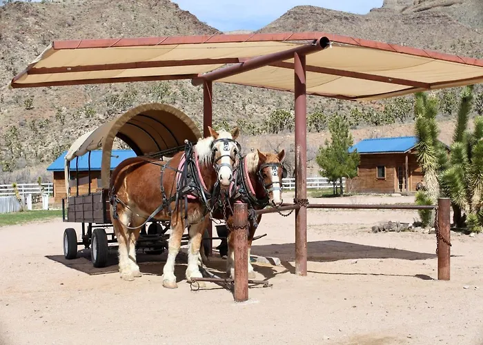 Grand Canyon Western Ranch Farm stay