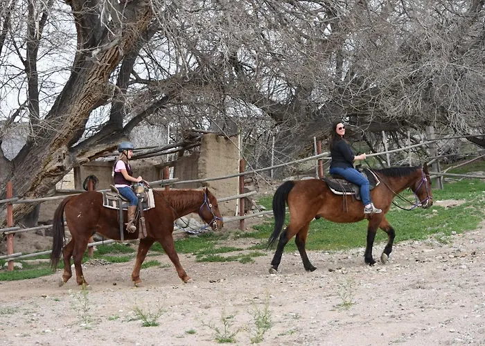 Grand Canyon Western Ranch Farm stay *